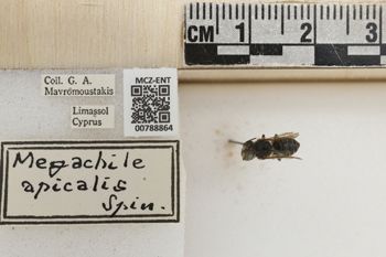 Media type: image;   Entomology 788864 Aspect: Labels